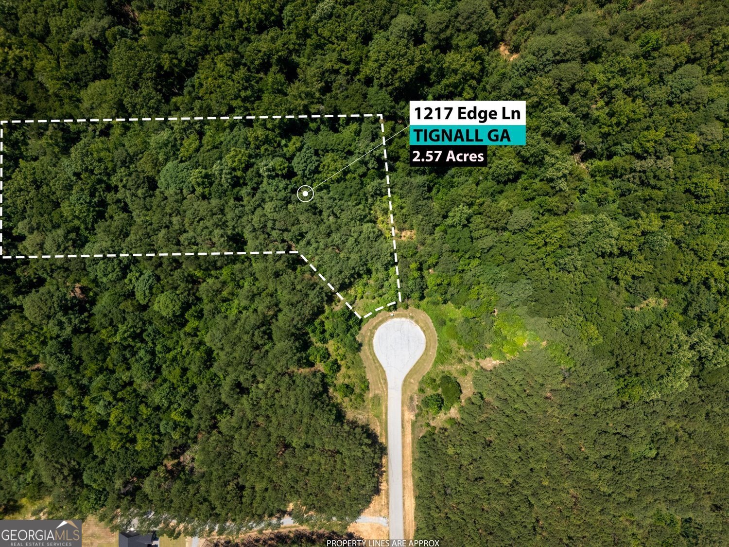 1217 Edge Lane Tignall GA 30668