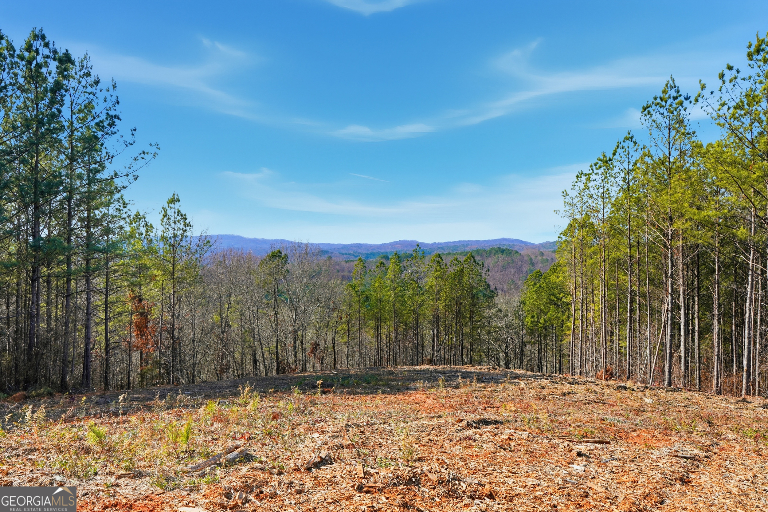 Lot 7 Springfield Parkway Ellijay GA 30540