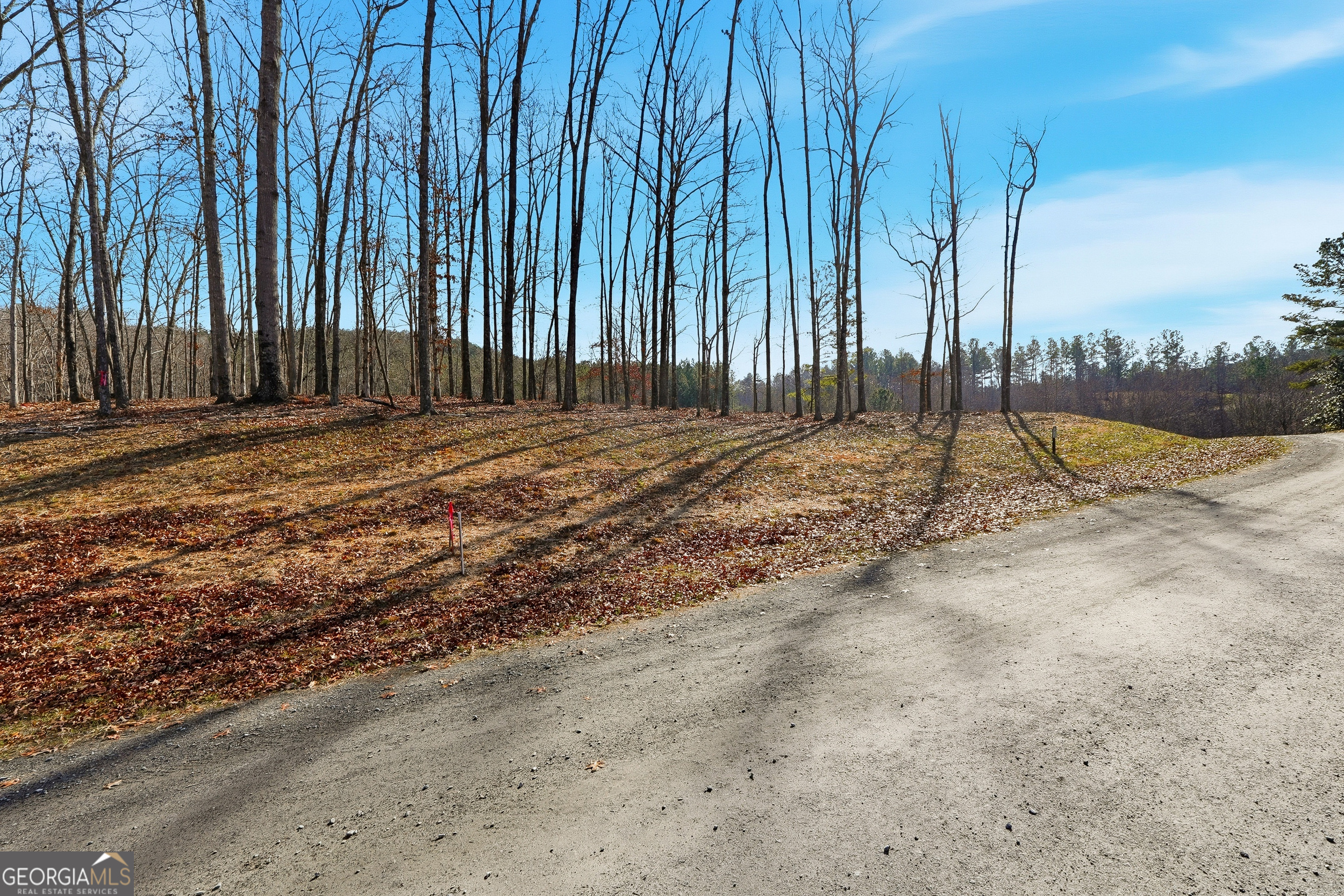 Lot 7 Springfield Parkway Ellijay GA 30540