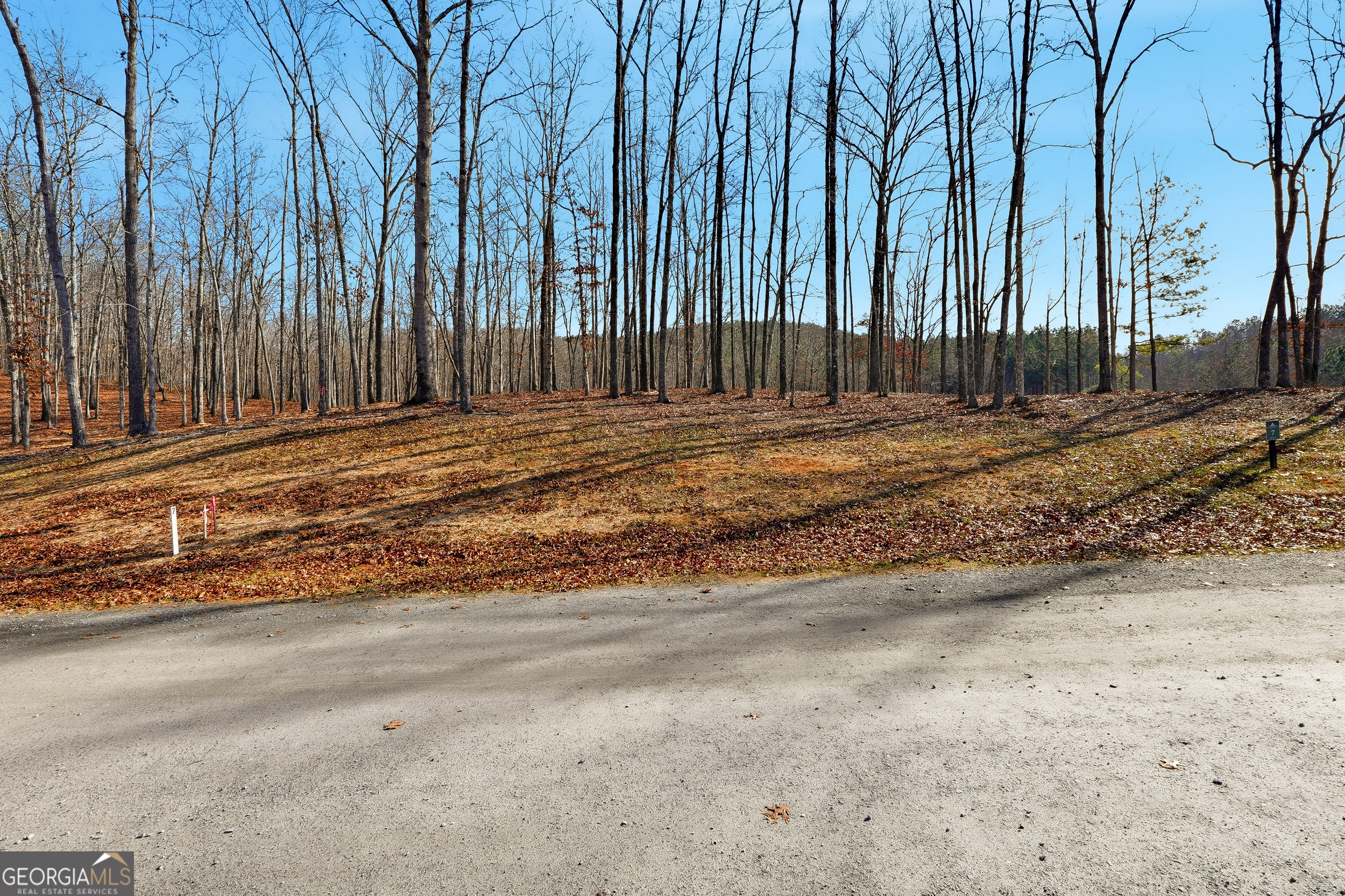 Lot 7 Springfield Parkway Ellijay GA 30540