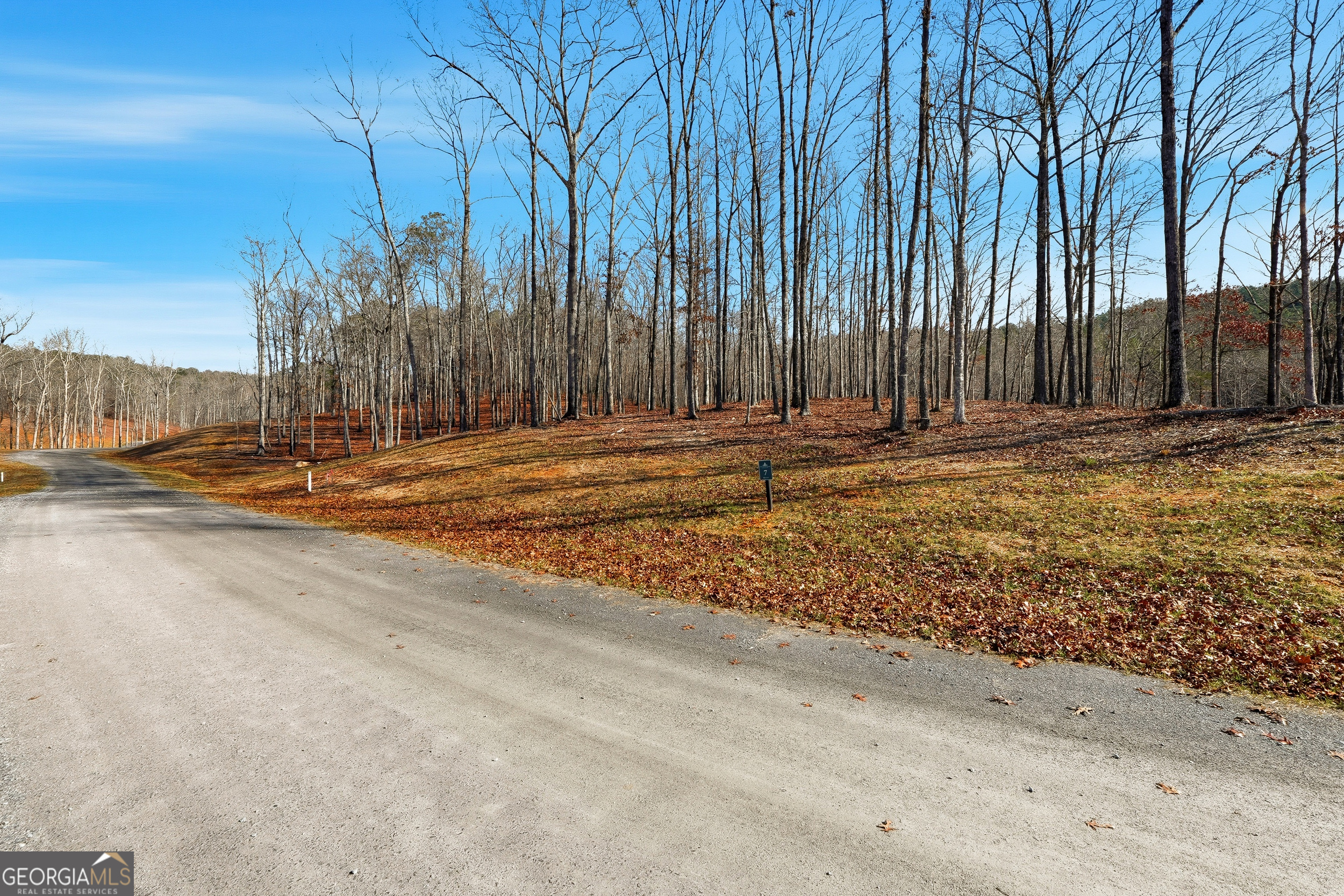 Lot 7 Springfield Parkway Ellijay GA 30540