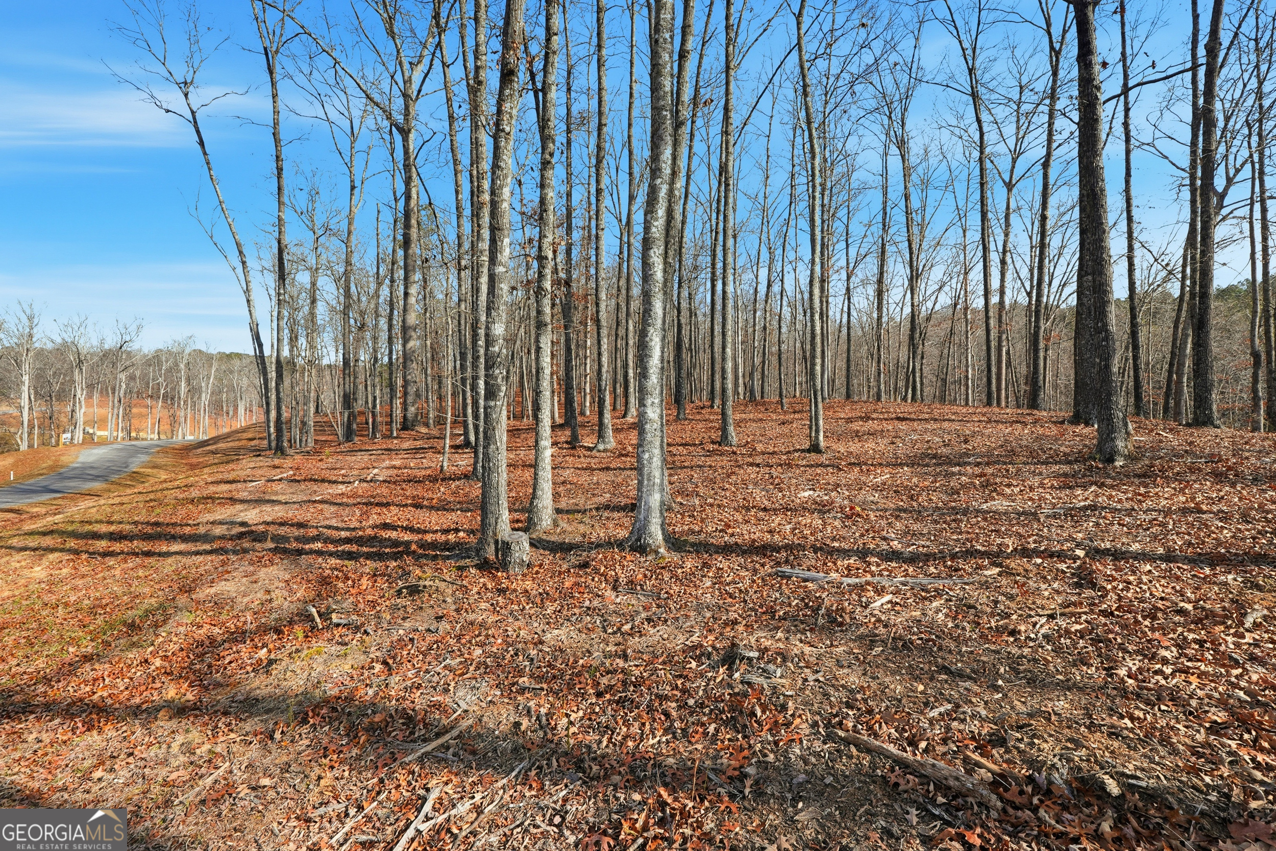Lot 7 Springfield Parkway Ellijay GA 30540