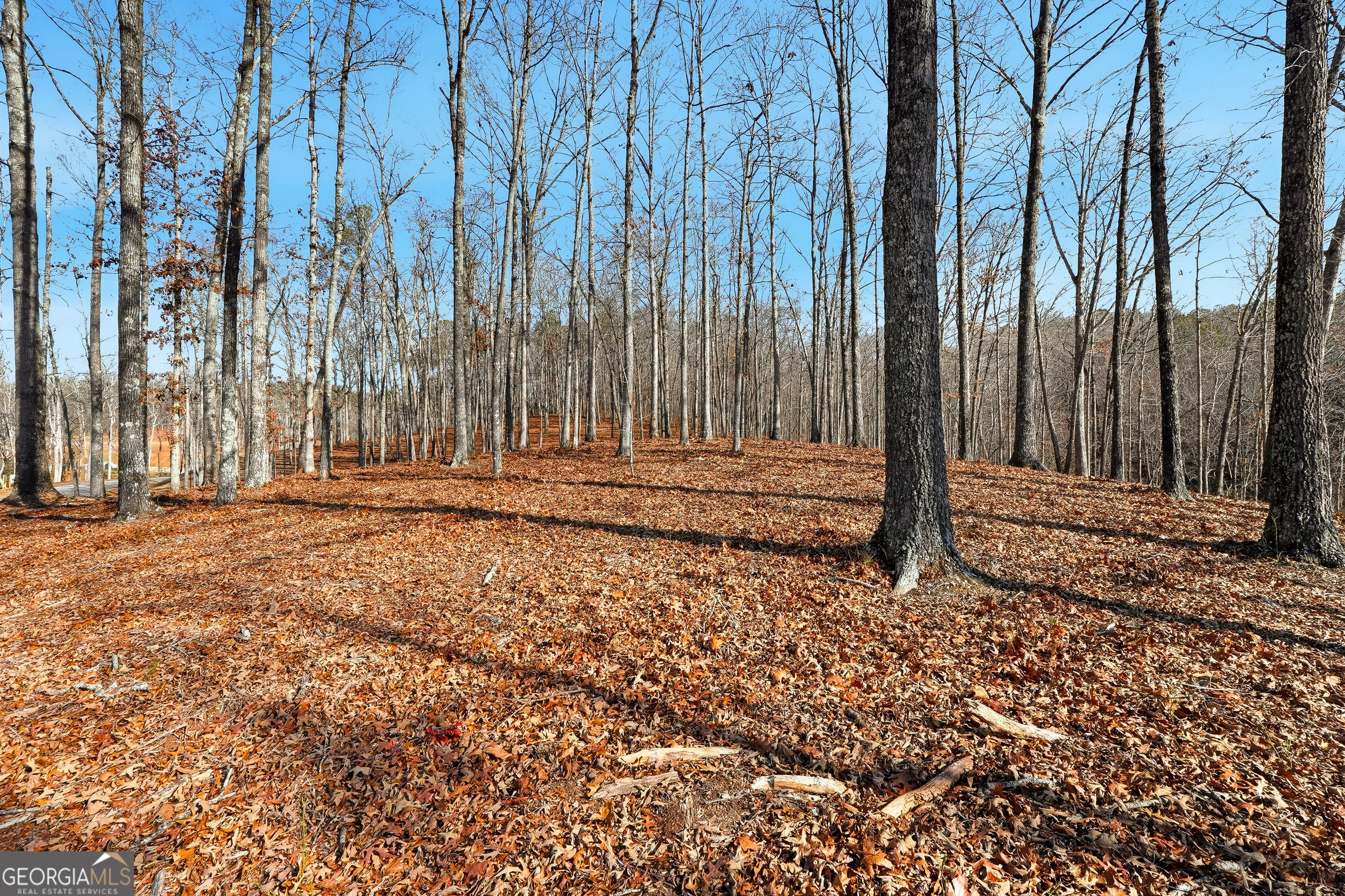 Lot 7 Springfield Parkway Ellijay GA 30540