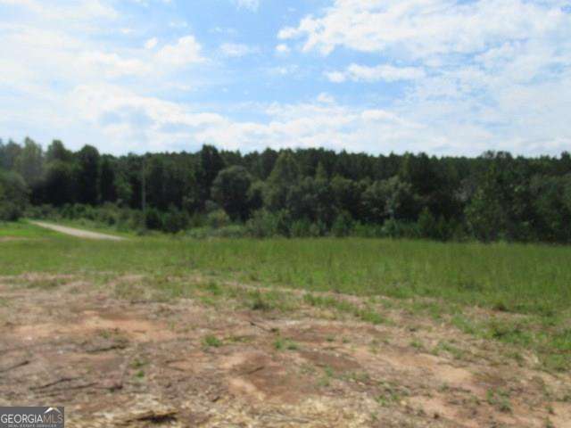 101 Winding Road Bowdon GA 30108