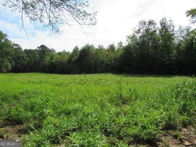 101 Winding Road Bowdon GA 30108