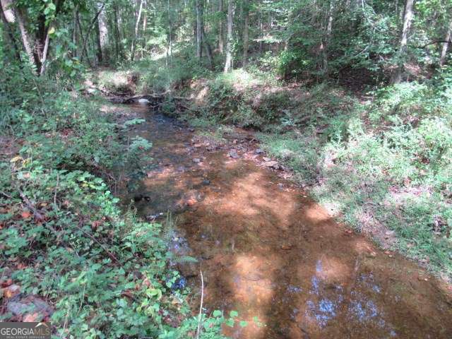 101 Winding Road Bowdon GA 30108