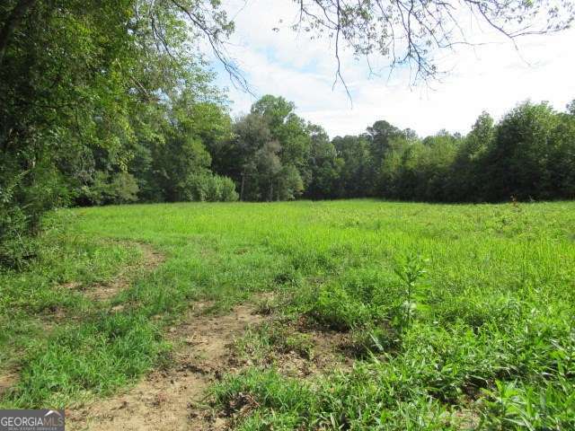 101 Winding Road Bowdon GA 30108