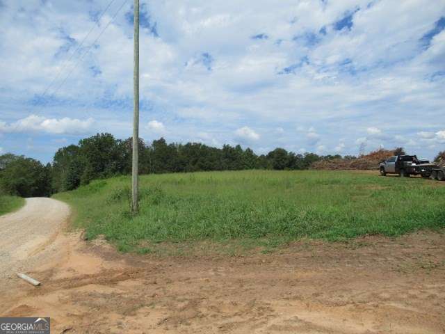 101 Winding Road Bowdon GA 30108