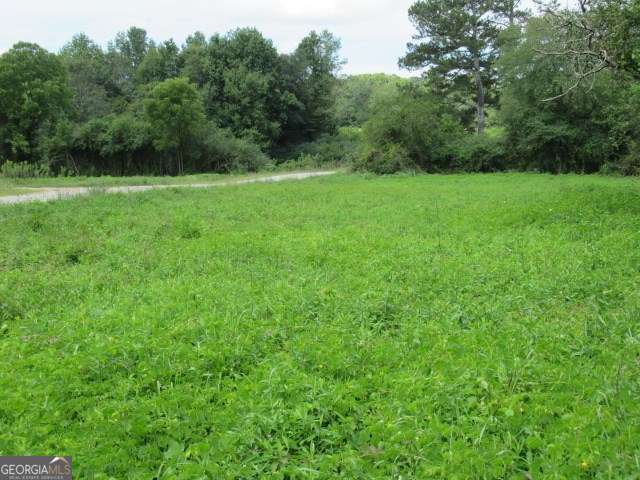 101 Winding Road Bowdon GA 30108