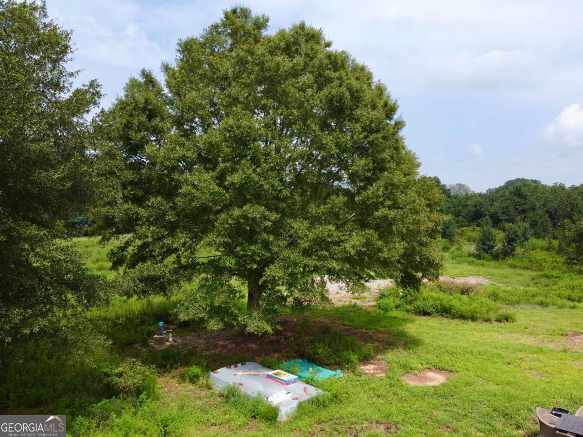 2536 Brindle Farmer Road Good Hope GA 30641