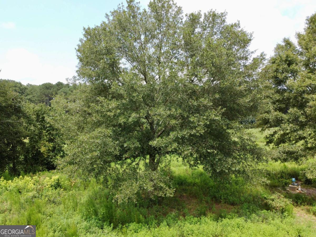 2536 Brindle Farmer Road Good Hope GA 30641