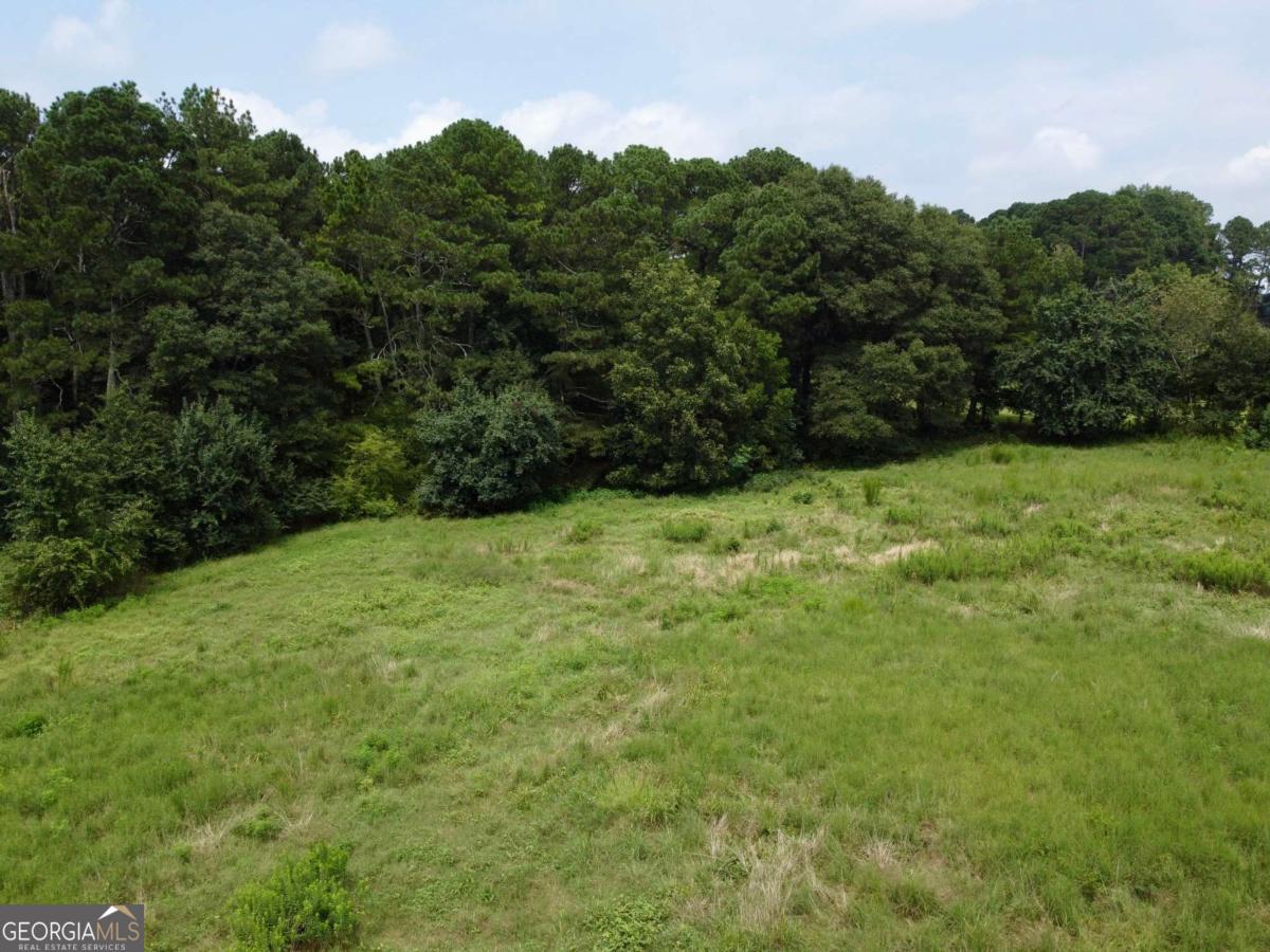 2536 Brindle Farmer Road Good Hope GA 30641