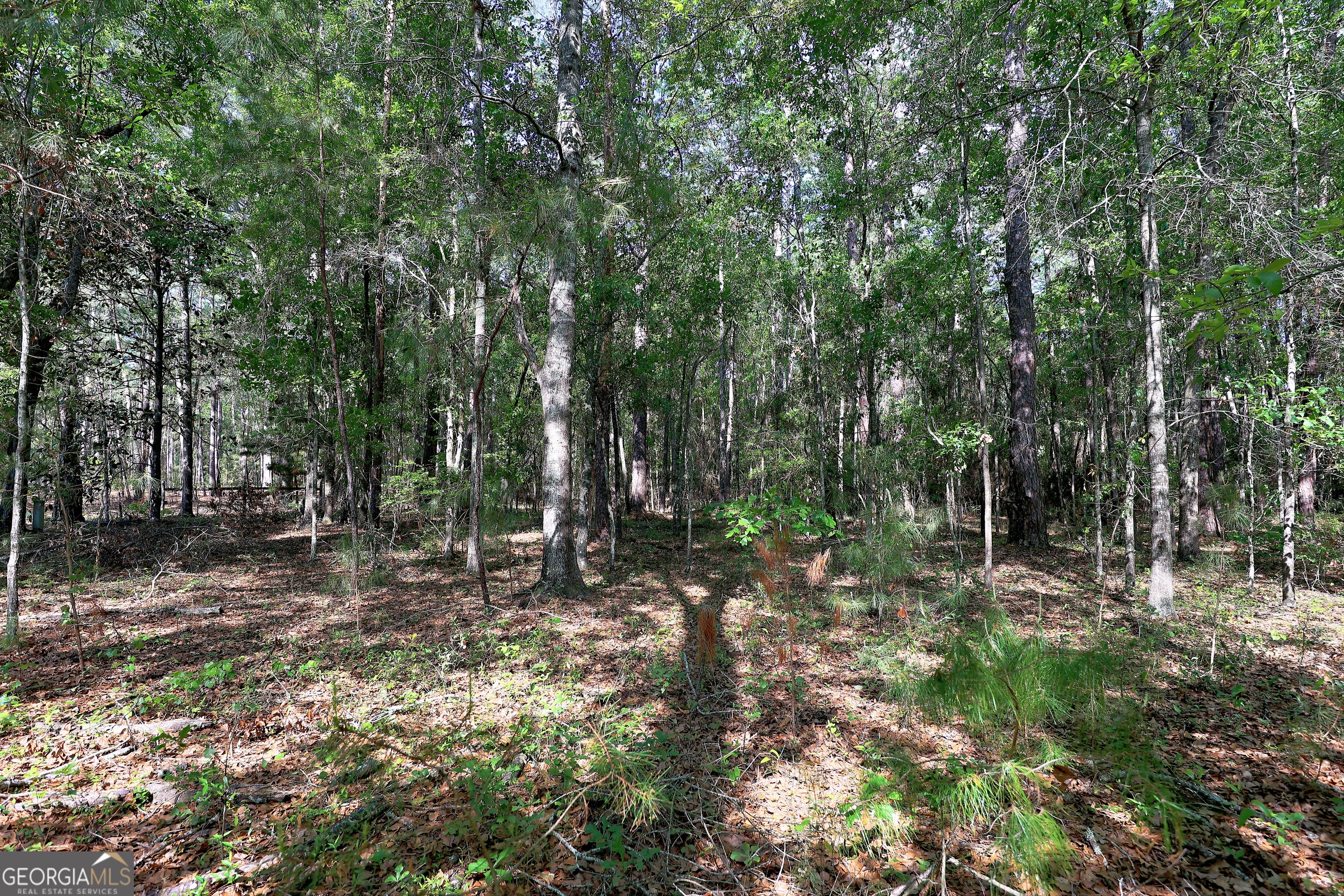 0 Pinetree Boulevard Thomasville GA 31792