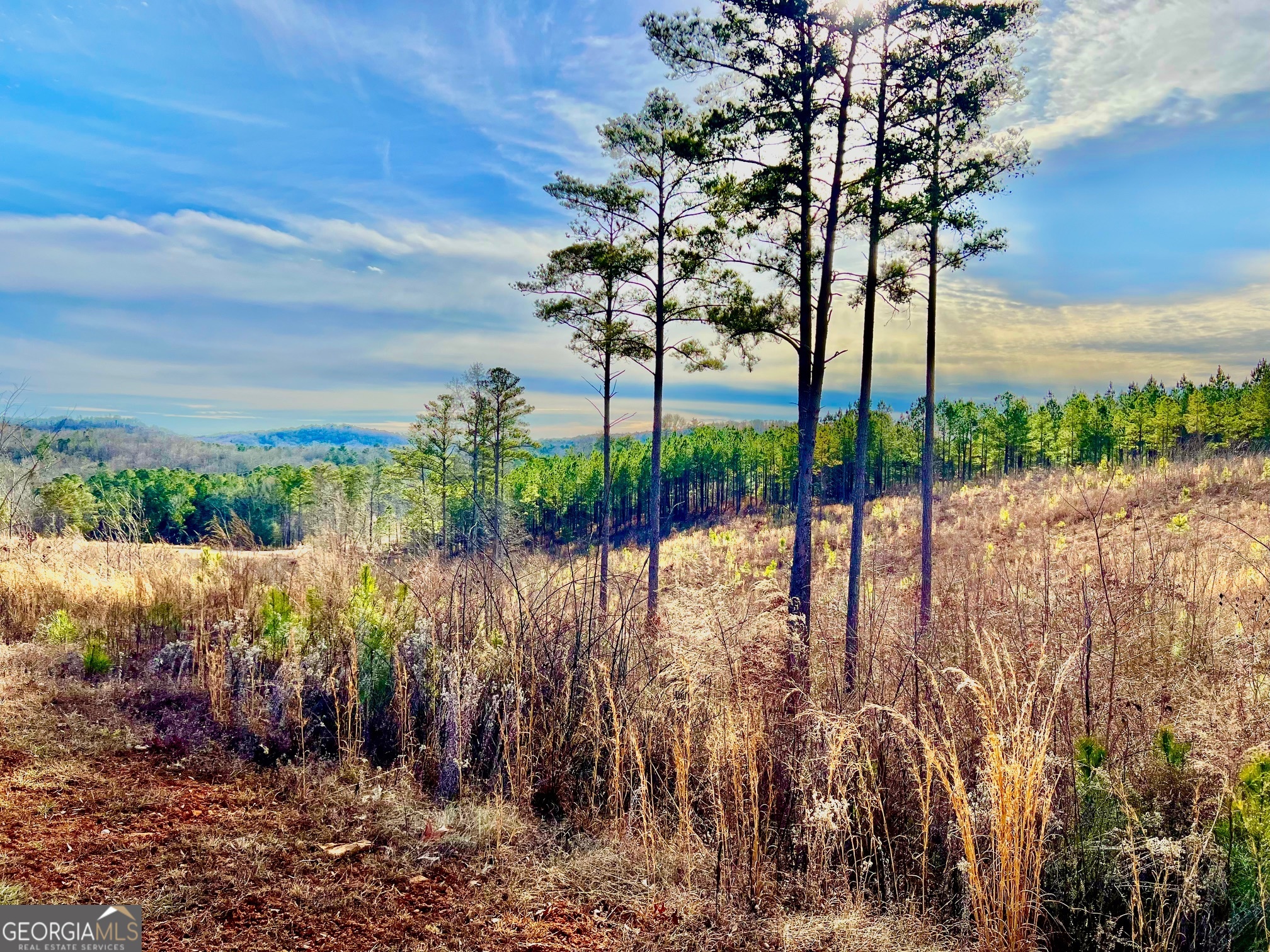268 Highgrove Drive Talking Rock GA 30175