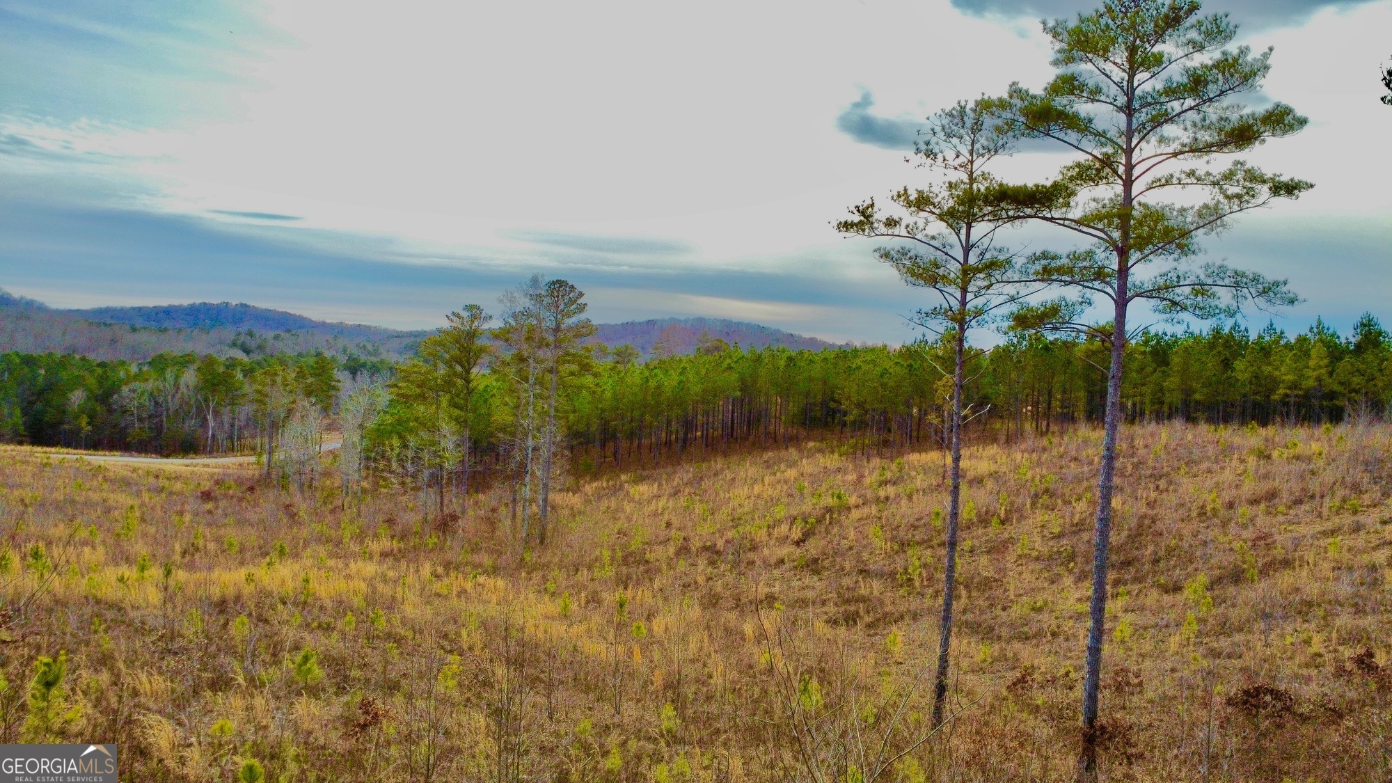 268 Highgrove Drive Talking Rock GA 30175