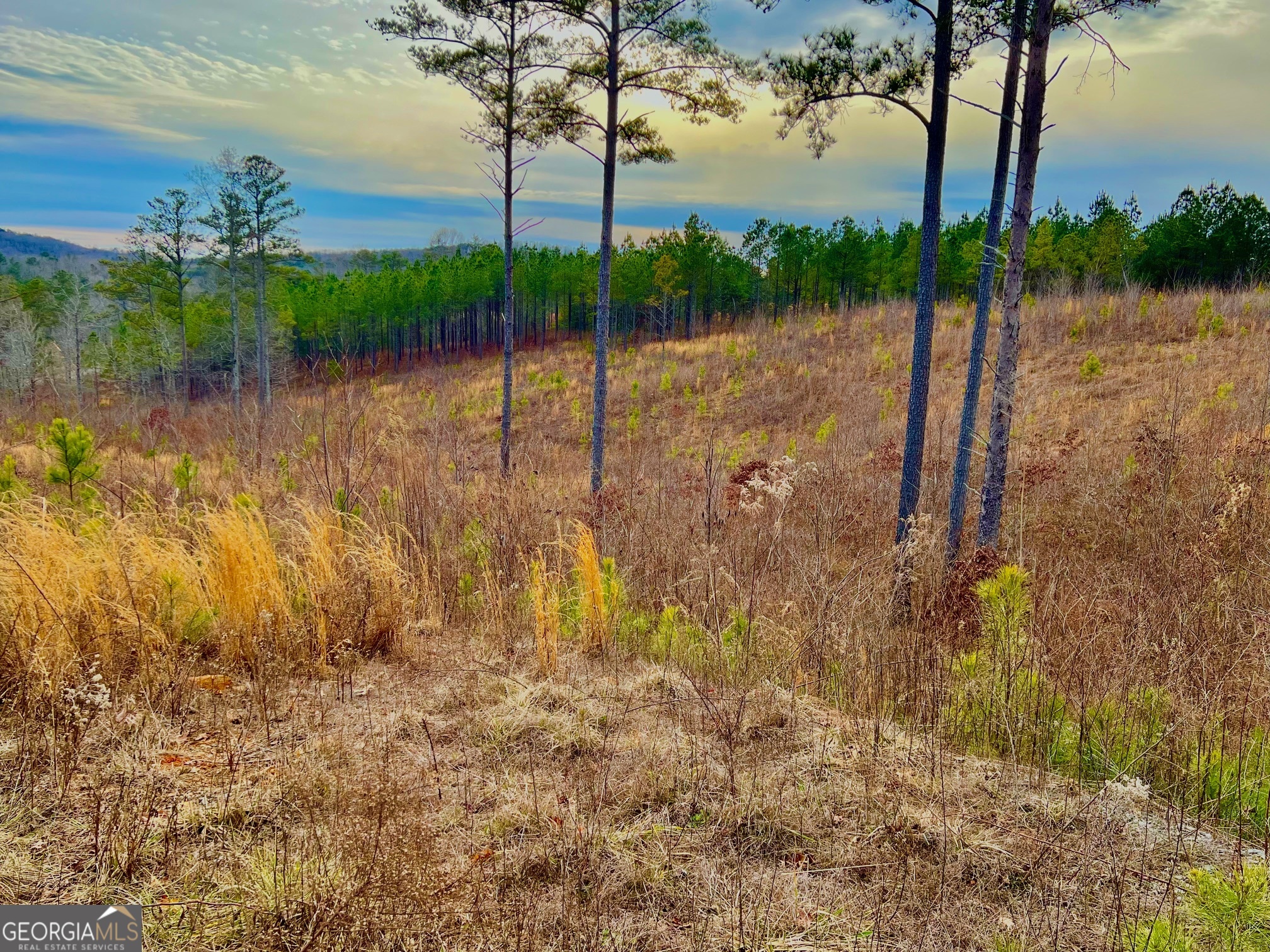 268 Highgrove Drive Talking Rock GA 30175