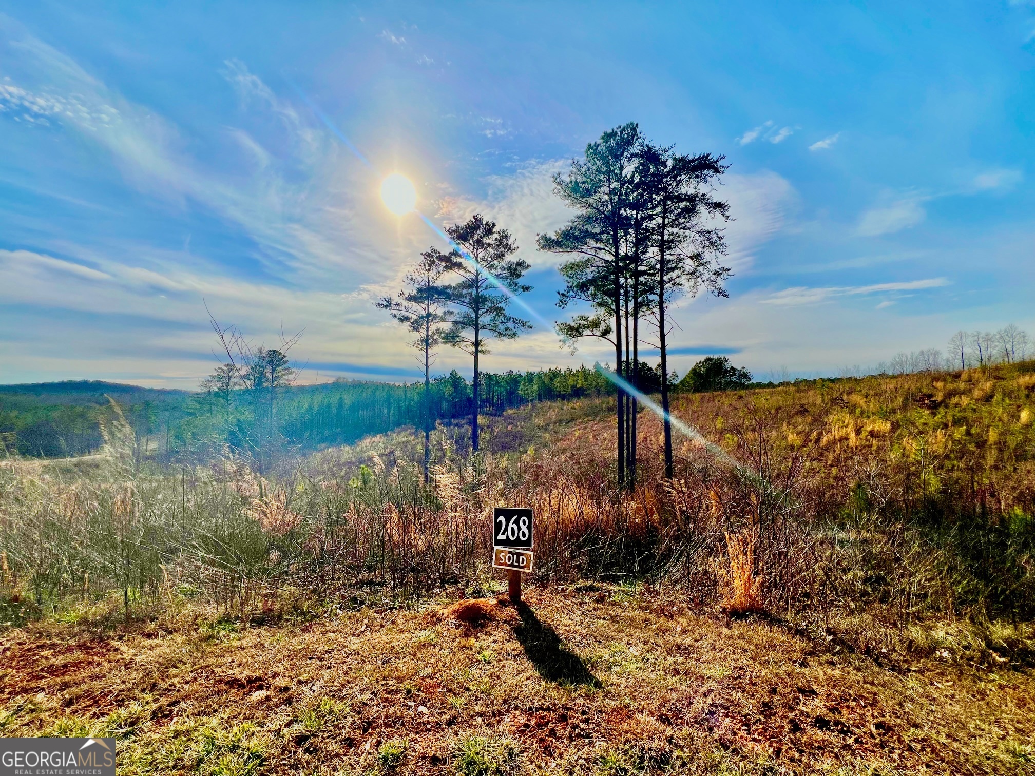 268 Highgrove Drive Talking Rock GA 30175
