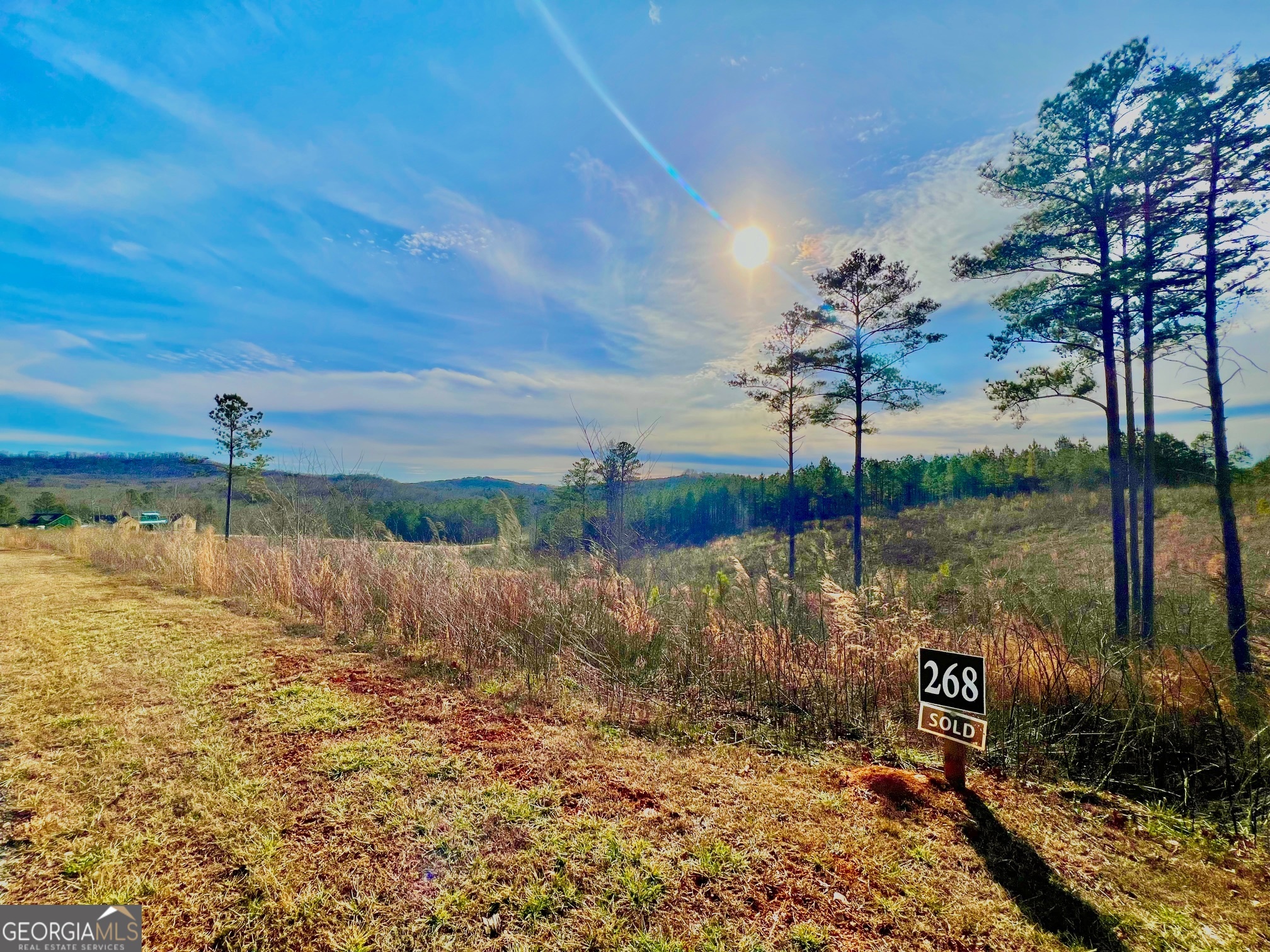 268 Highgrove Drive Talking Rock GA 30175