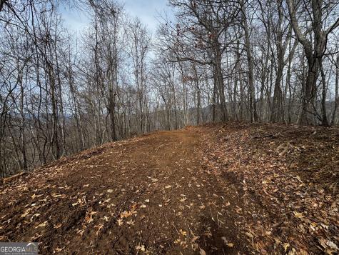 20 Acres Burnt Leaf Lane Hayesville NC 28904