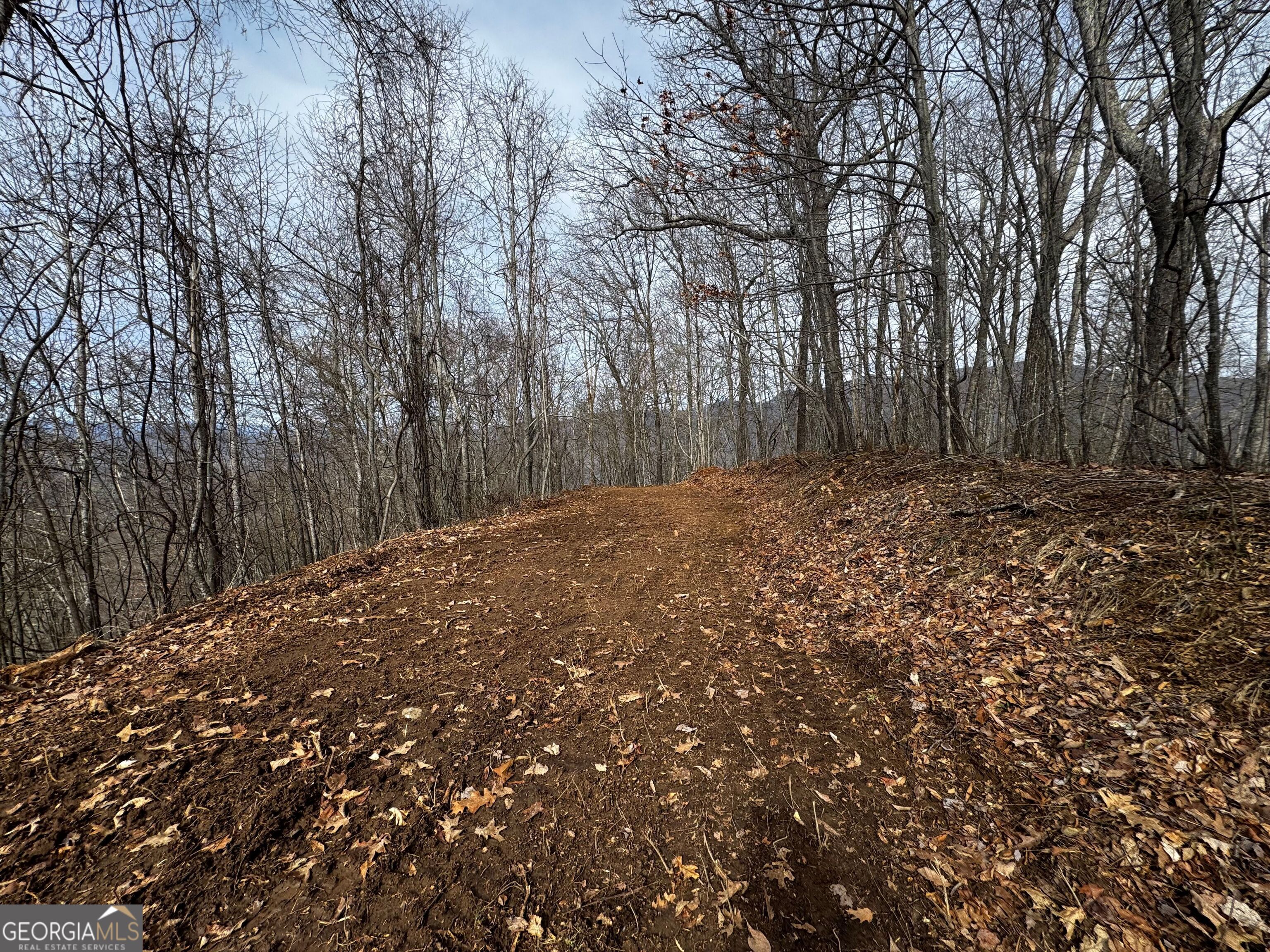 20 Acres Burnt Leaf Lane Hayesville NC 28904