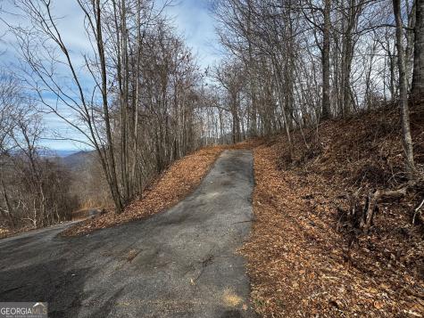 20 Acres Burnt Leaf Lane Hayesville NC 28904