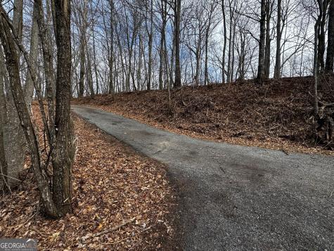 20 Acres Burnt Leaf Lane Hayesville NC 28904