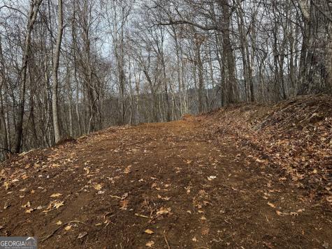 20 Acres Burnt Leaf Lane Hayesville NC 28904