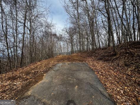 20 Acres Burnt Leaf Lane Hayesville NC 28904