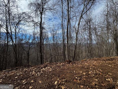20 Acres Burnt Leaf Lane Hayesville NC 28904