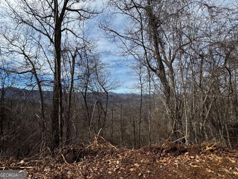 20 Acres Burnt Leaf Lane Hayesville NC 28904