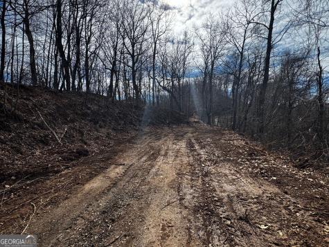 20 Acres Burnt Leaf Lane Hayesville NC 28904