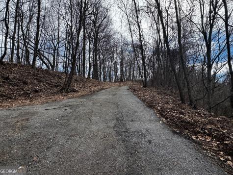 20 Acres Burnt Leaf Lane Hayesville NC 28904