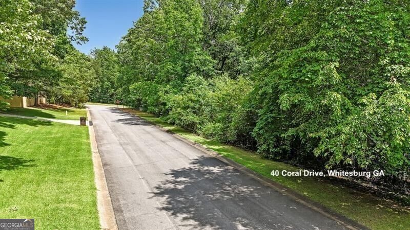 40 Coral Drive Whitesburg GA 30185