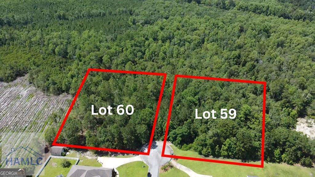 113 Vixenhill Drive Jesup GA 31546