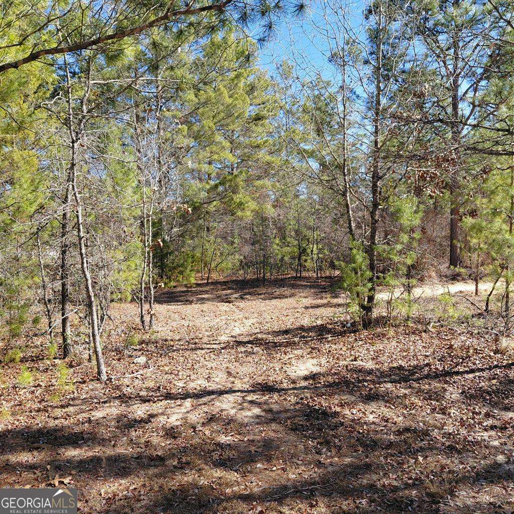 100 Sparrow Drive Box Springs GA 31801