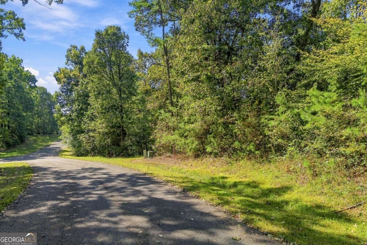 0 Town Creek Road Talking Rock GA 30175