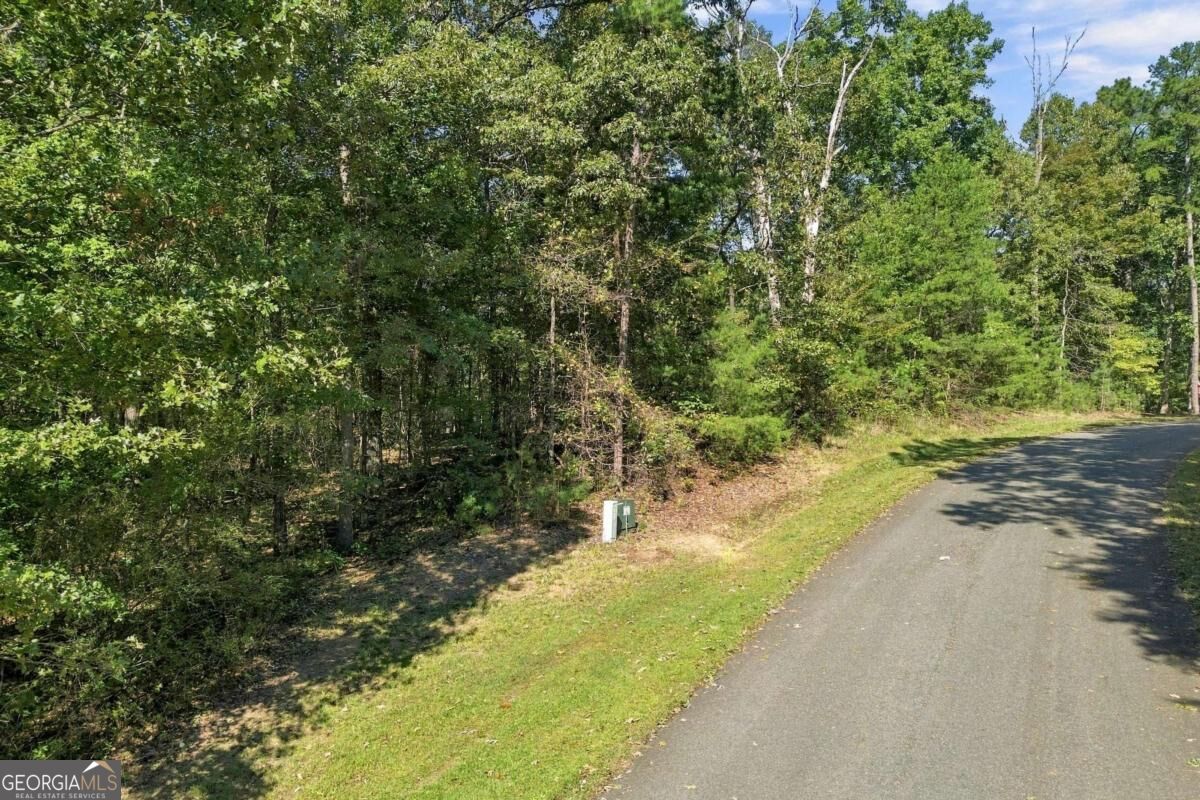 0 Town Creek Road Talking Rock GA 30175