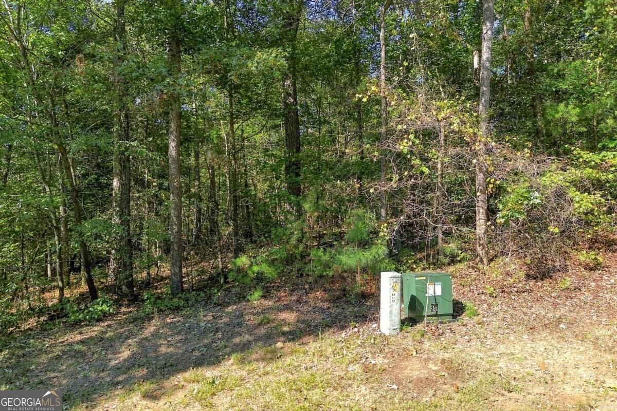 0 Town Creek Road Talking Rock GA 30175