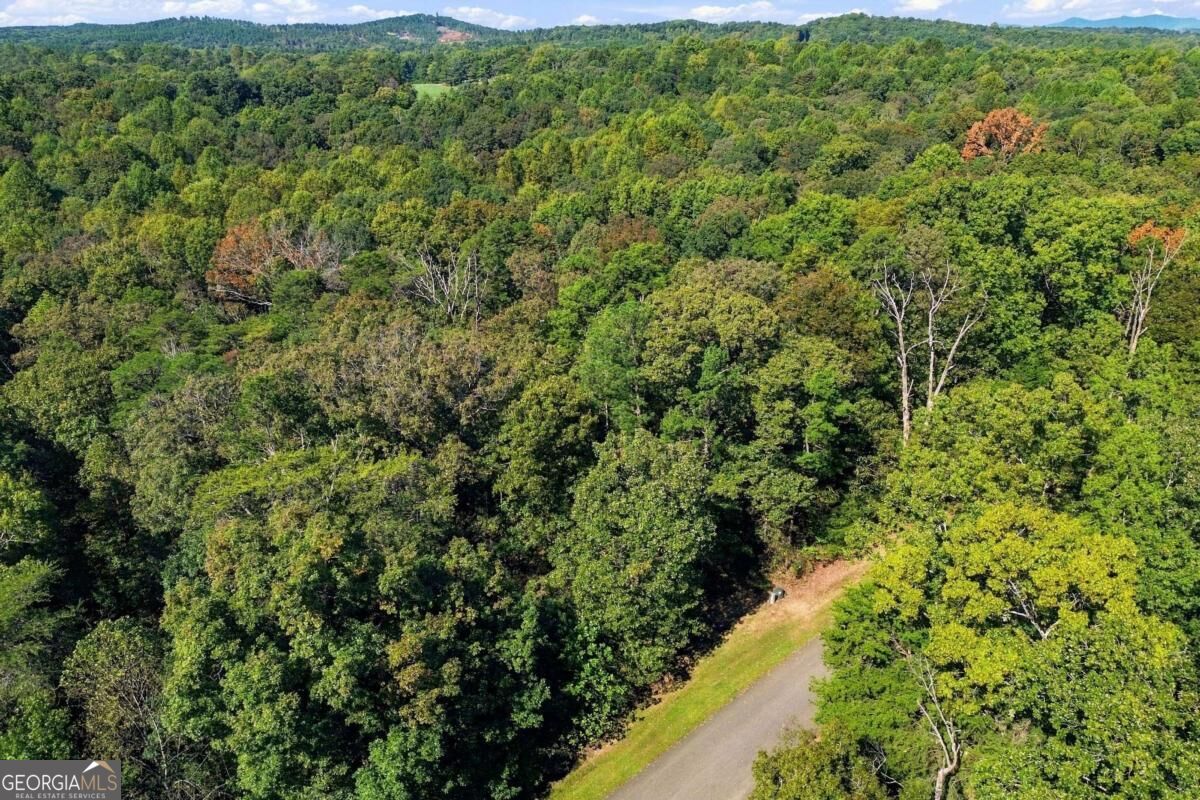 0 Town Creek Road Talking Rock GA 30175