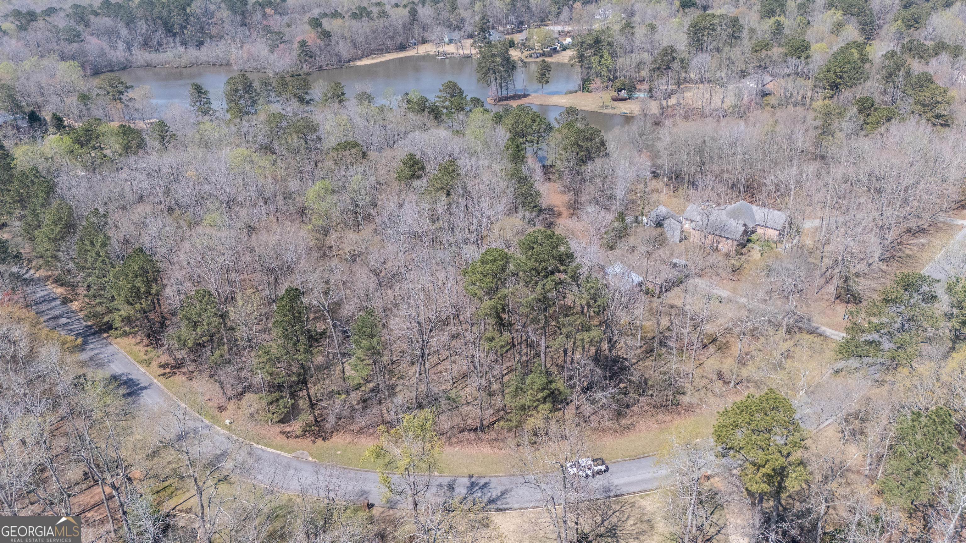 0 Btwn 165 & 205 Staple Creek Road Fayetteville GA 30215