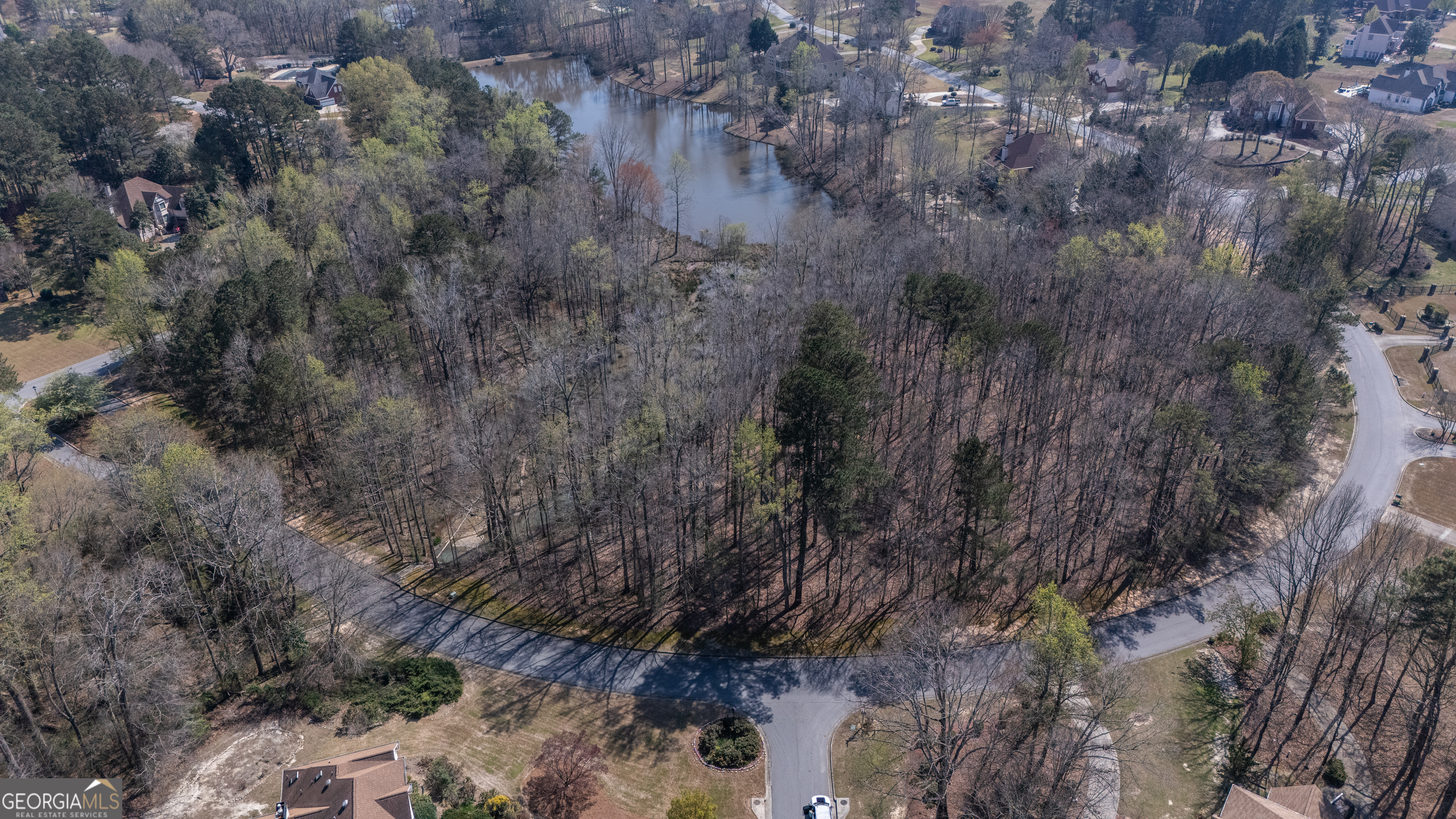 110 Bayberry Run Fayetteville GA 30214