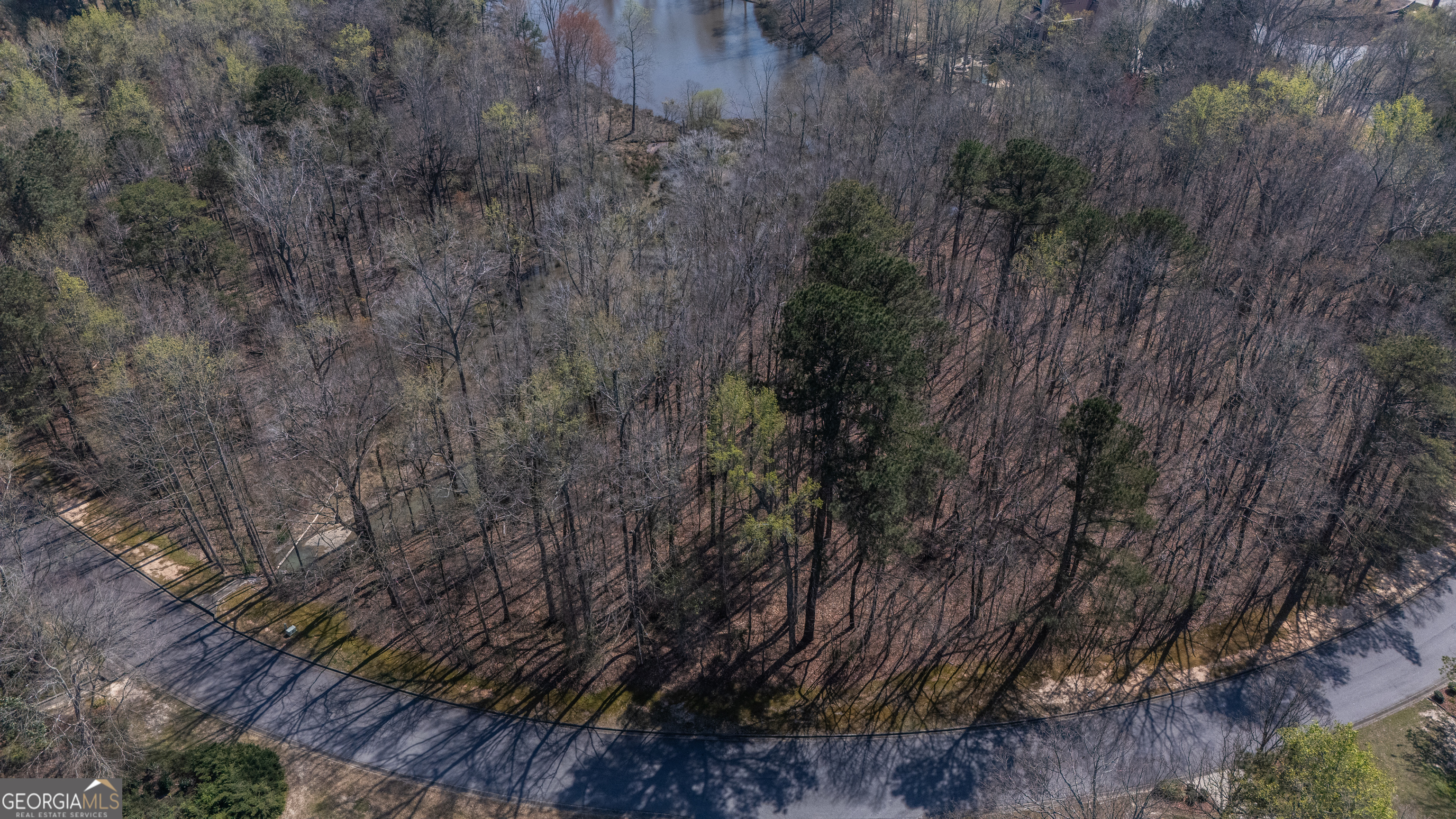 110 Bayberry Run Fayetteville GA 30214