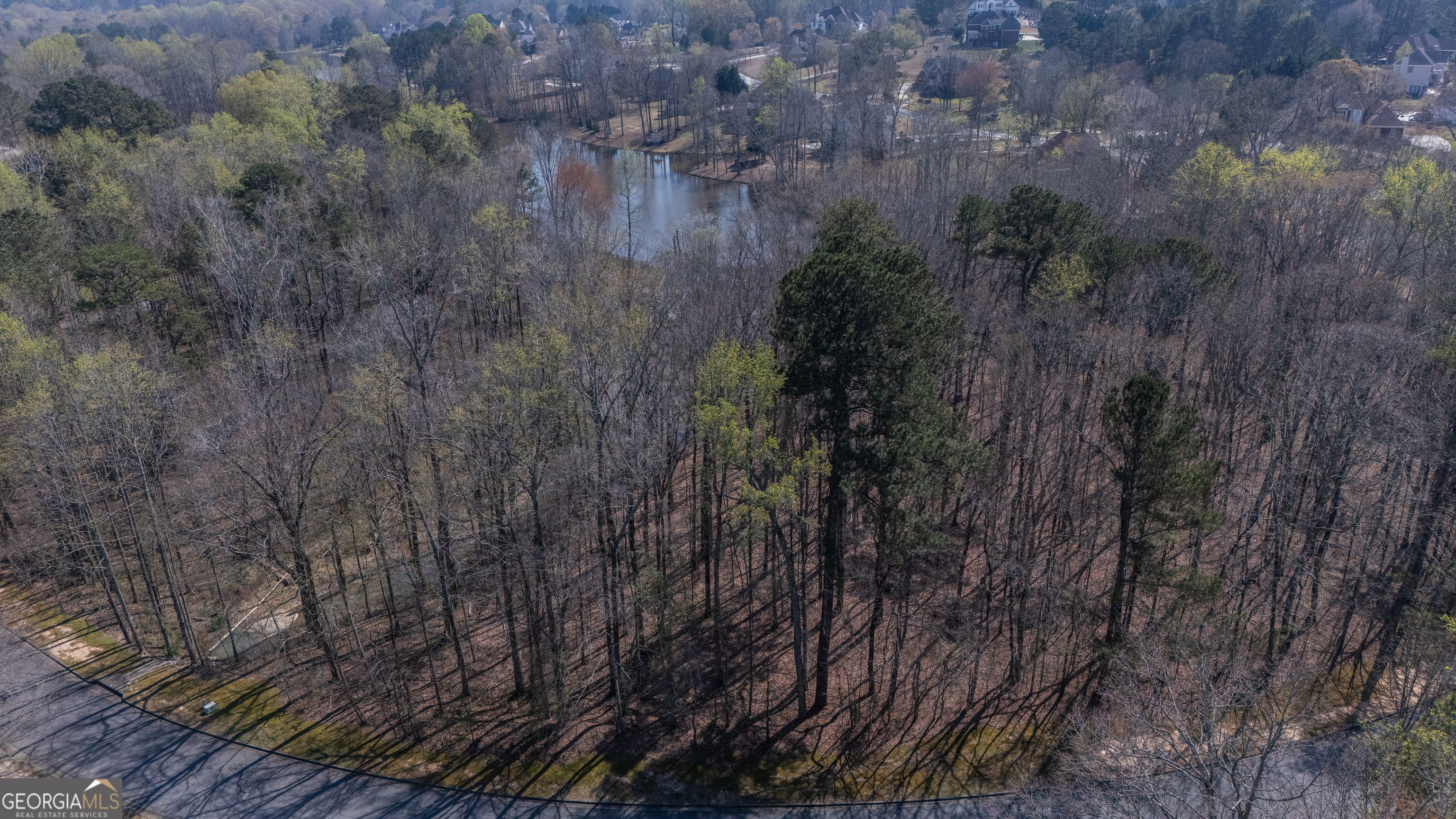 110 Bayberry Run Fayetteville GA 30214