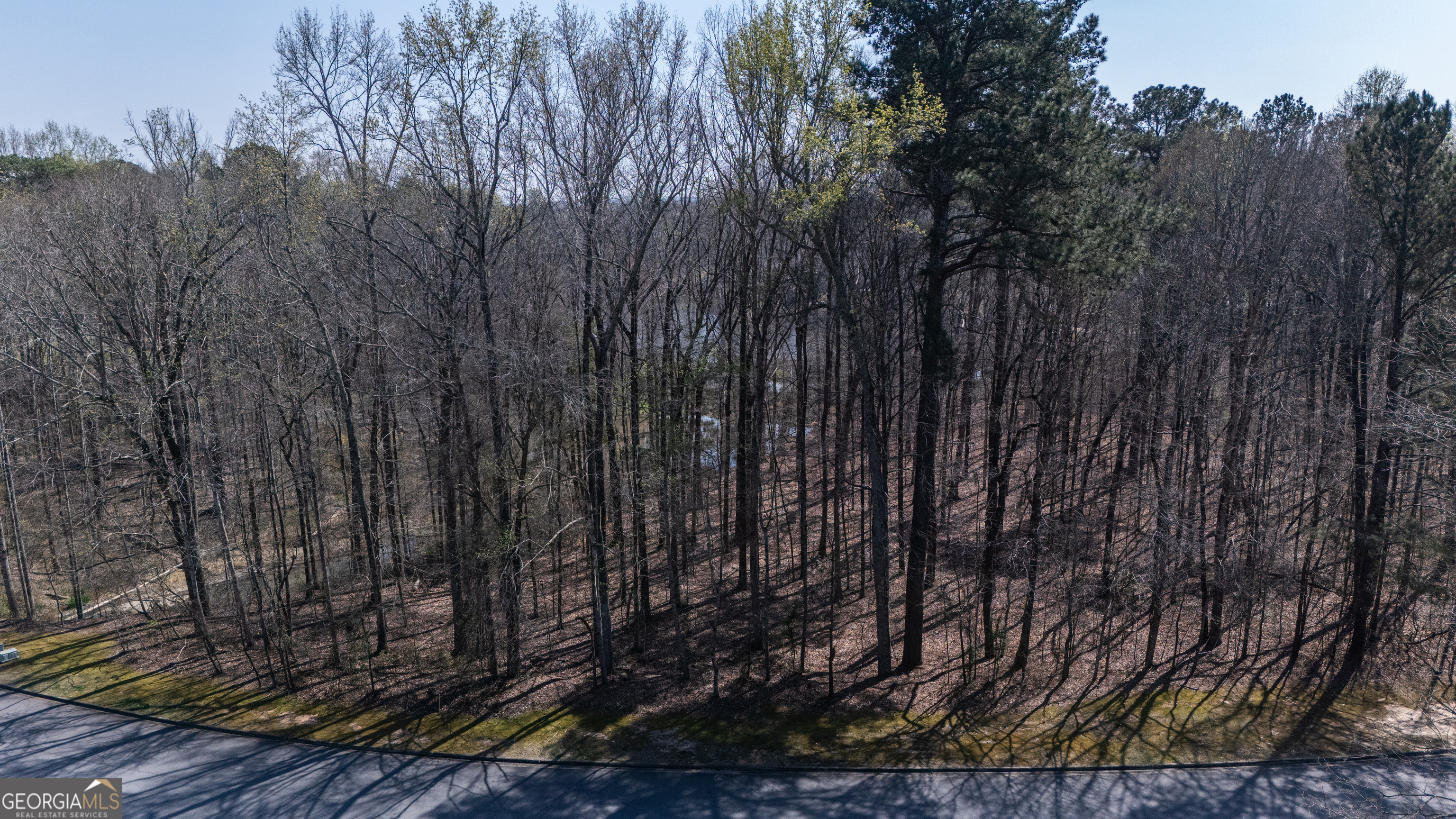 110 Bayberry Run Fayetteville GA 30214