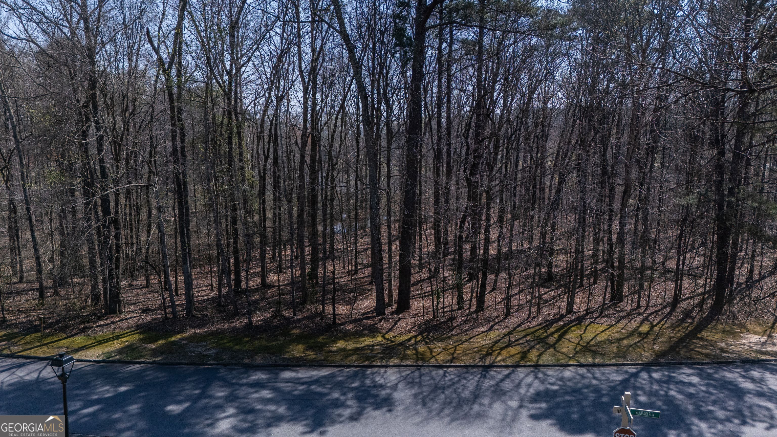 110 Bayberry Run Fayetteville GA 30214
