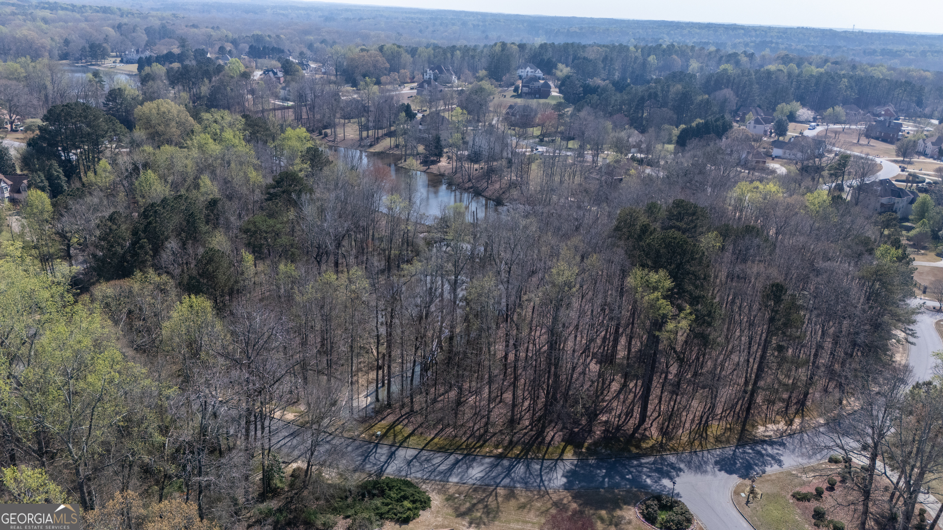 110 Bayberry Run Fayetteville GA 30214