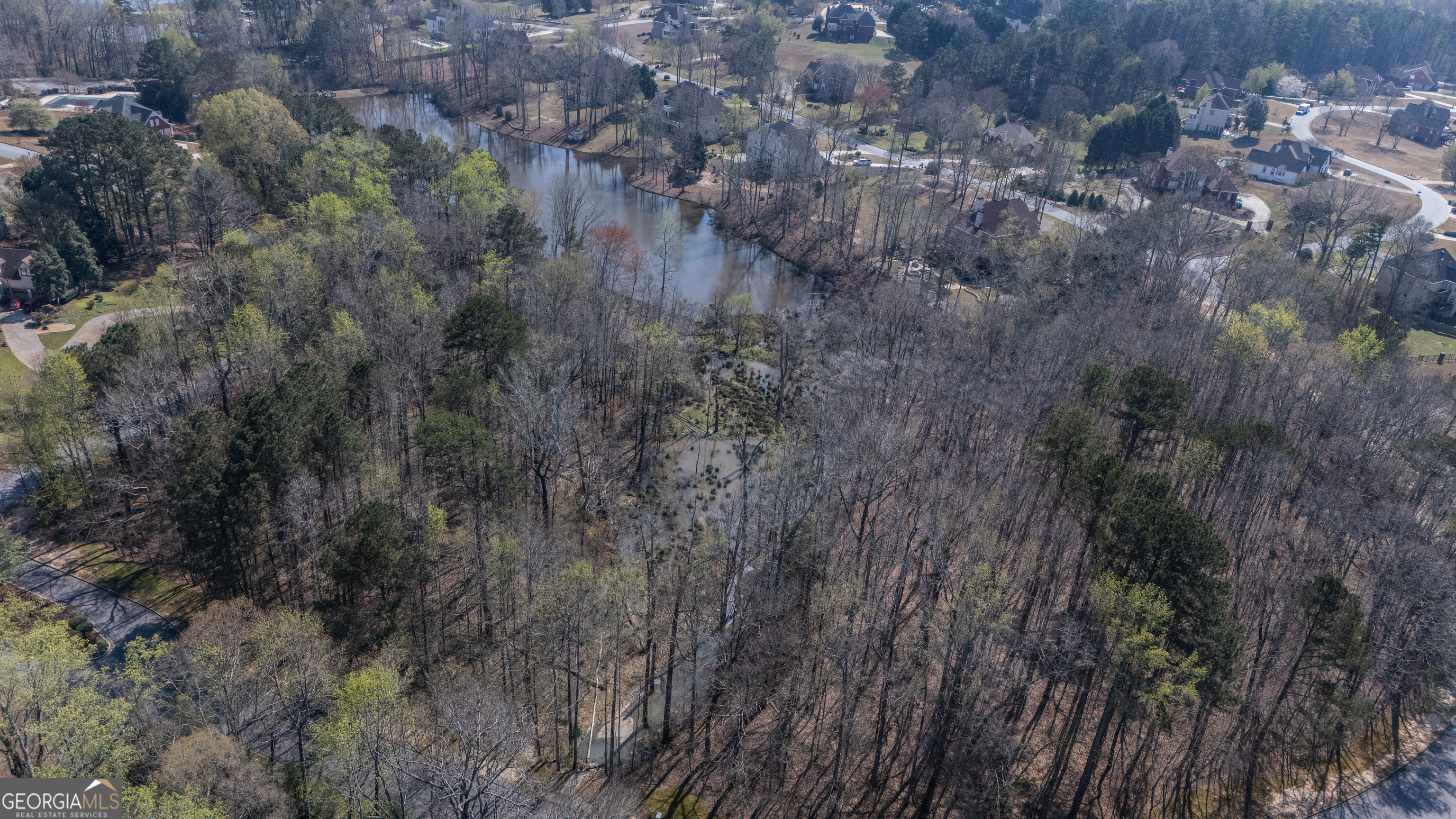 110 Bayberry Run Fayetteville GA 30214