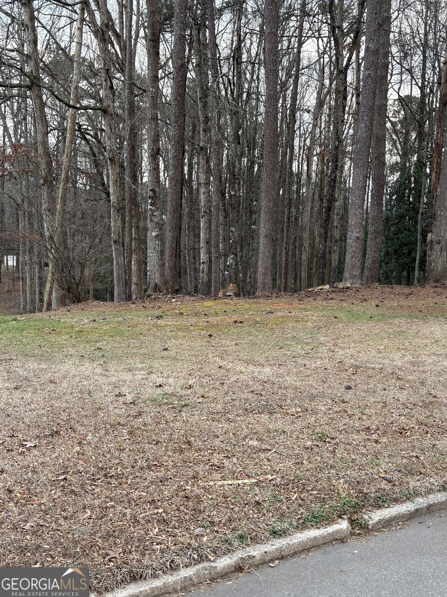 0 Azalea Drive Fairburn GA 30213