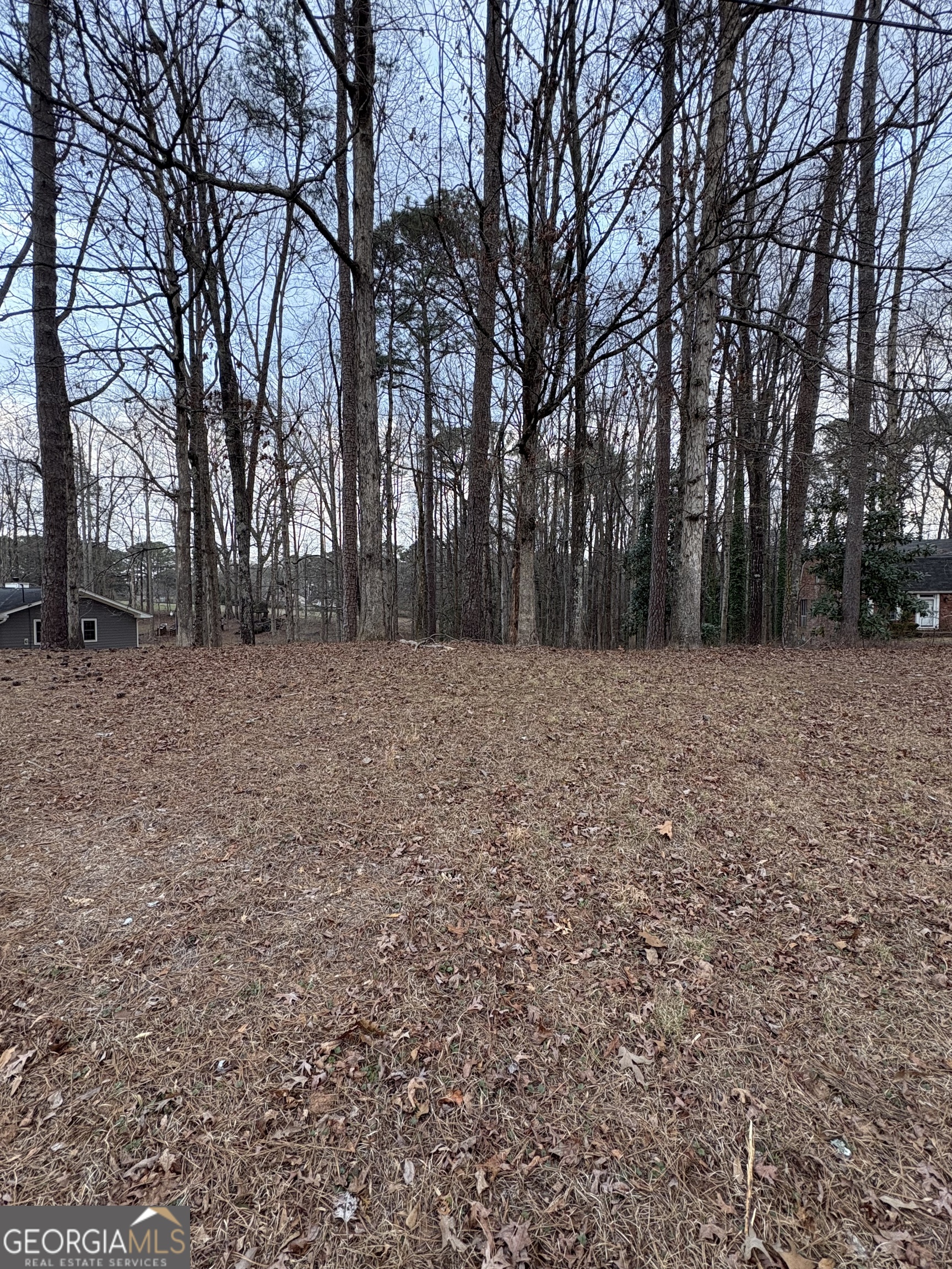 0 Azalea Drive Fairburn GA 30213