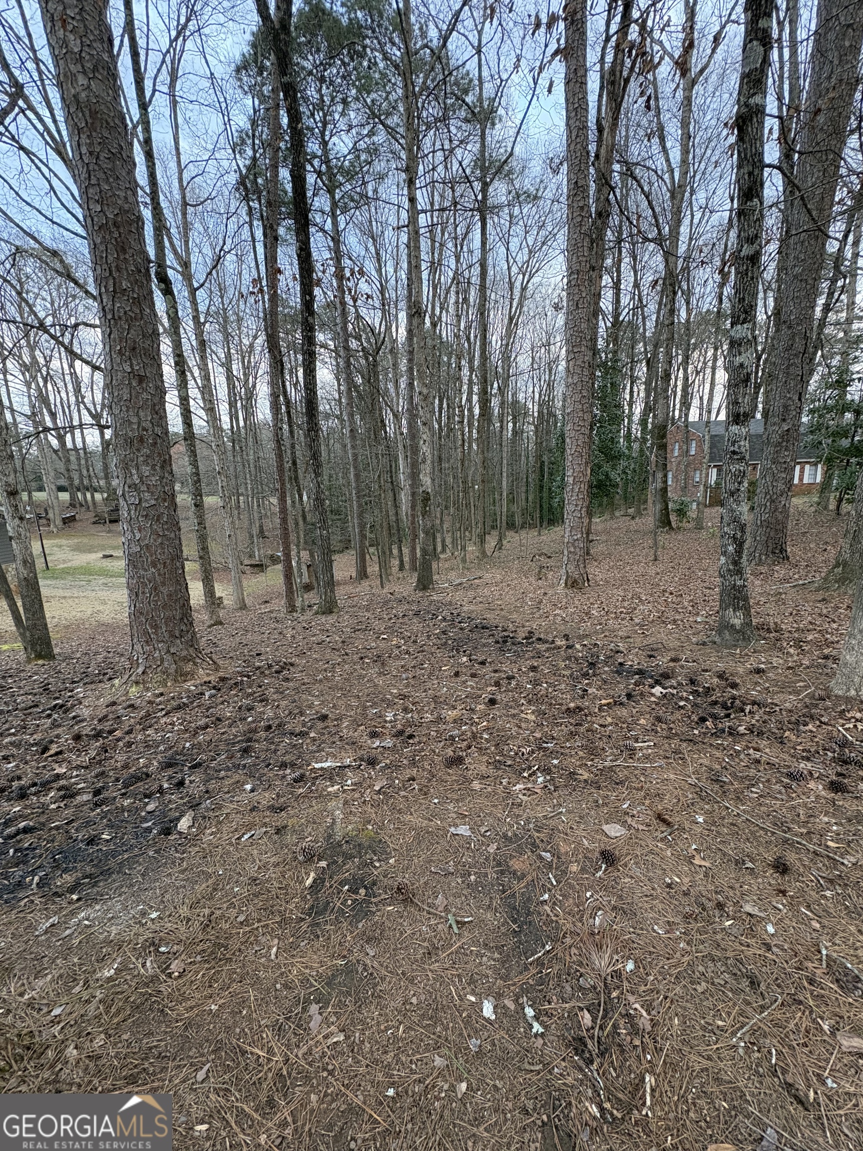 0 Azalea Drive Fairburn GA 30213